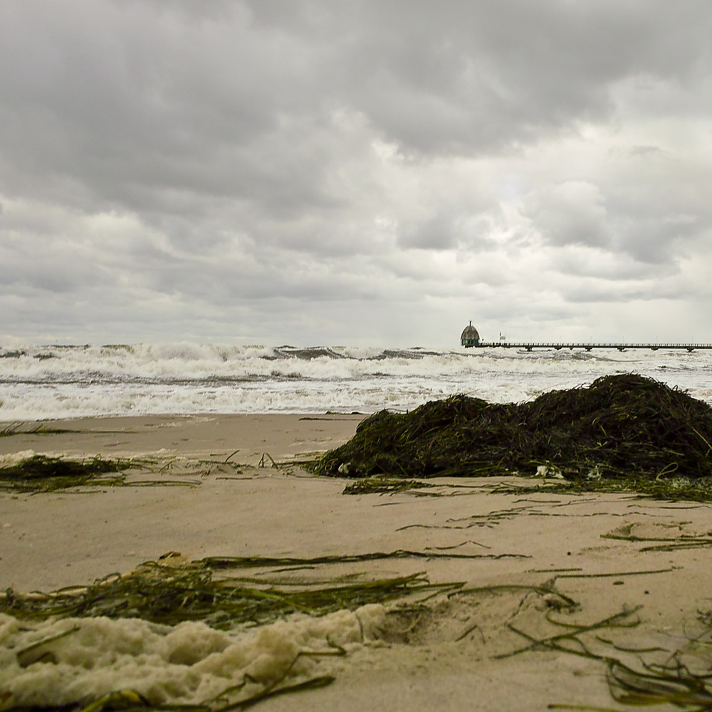20091014 0955 [DP1]   16.6 mm  1 125 Sek. bei ƒ   7,1
