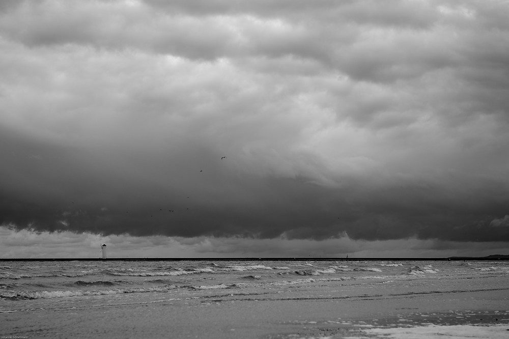 20091016 2611 [NIKON D700]   70 mm  1 1250 Sek. bei ƒ   4,0