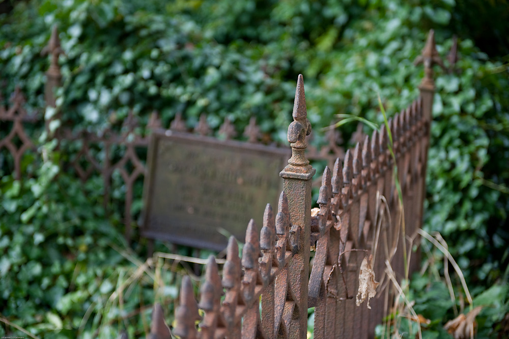 20091017 2782 [NIKON D700]   66 mm  1 250 Sek. bei ƒ   2,8