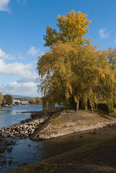 200910251503 - Die Mündung der Selz in den Rhein bei Ingelheim