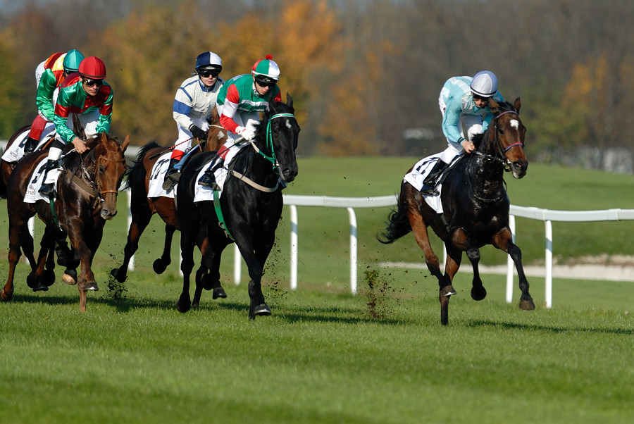 20091101 135225 galopp muenchen