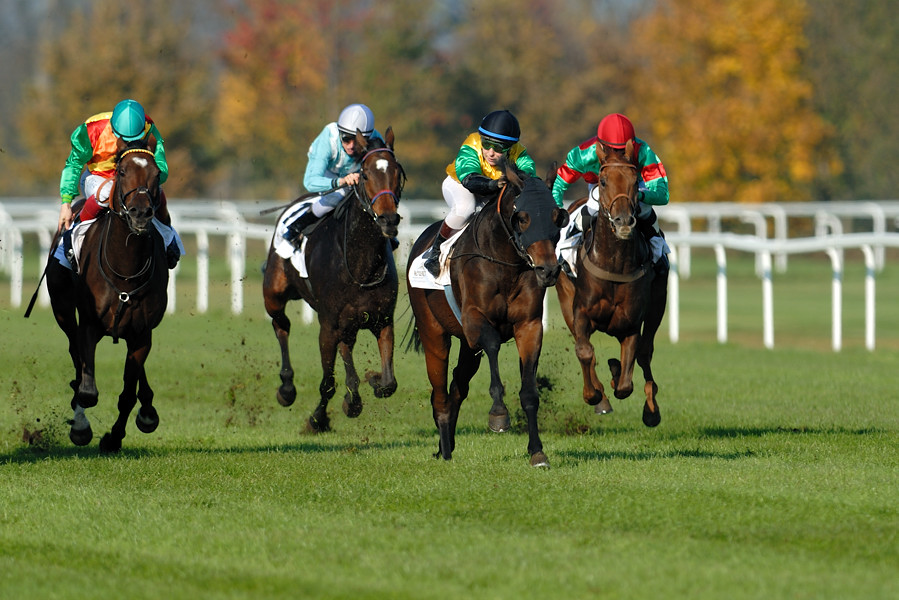20091101 135432 galopp muenchen