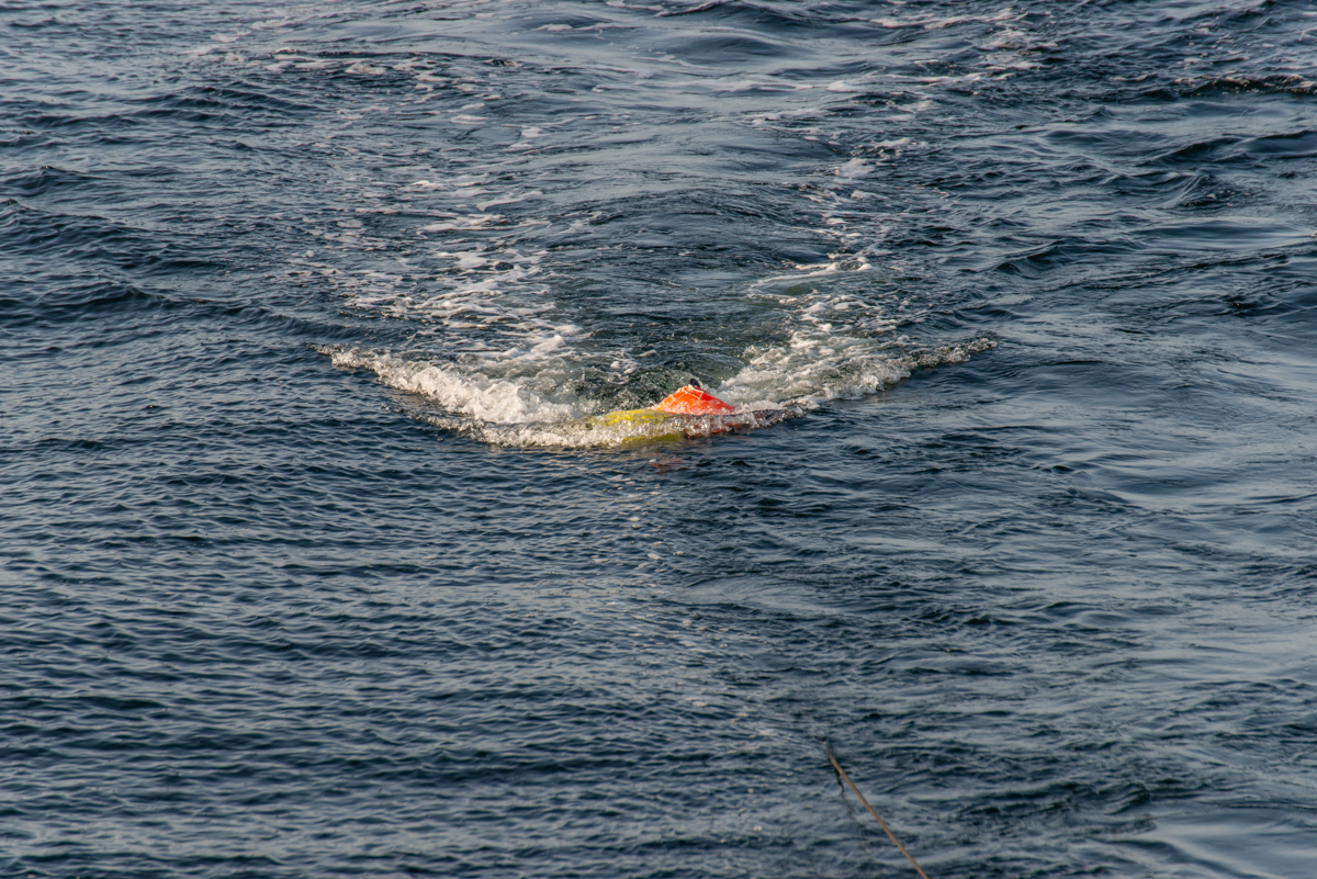 200919 AL545 NF-F-1.jpg