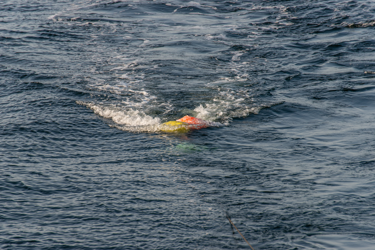 200919 AL545 NF-F-2.jpg