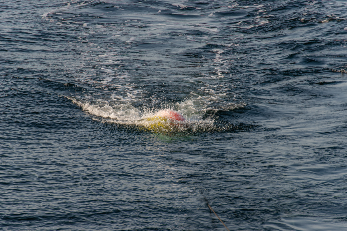 200919 AL545 NF-F-3.jpg