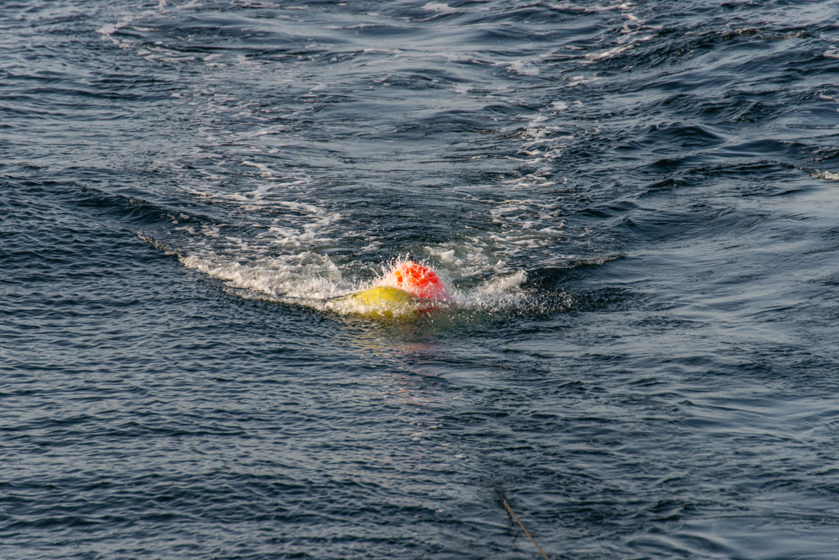 200919 AL545 NF-F-4.jpg