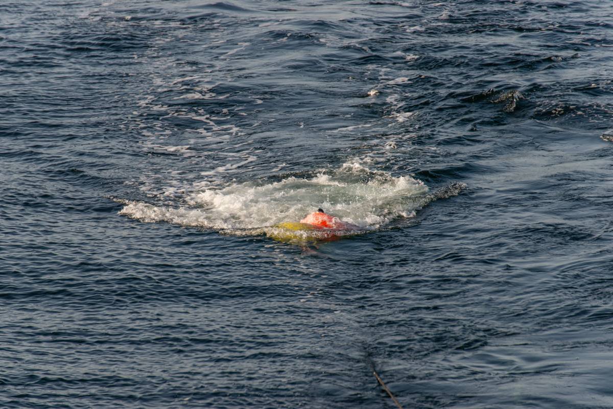 200919 AL545 NF-F-9.jpg