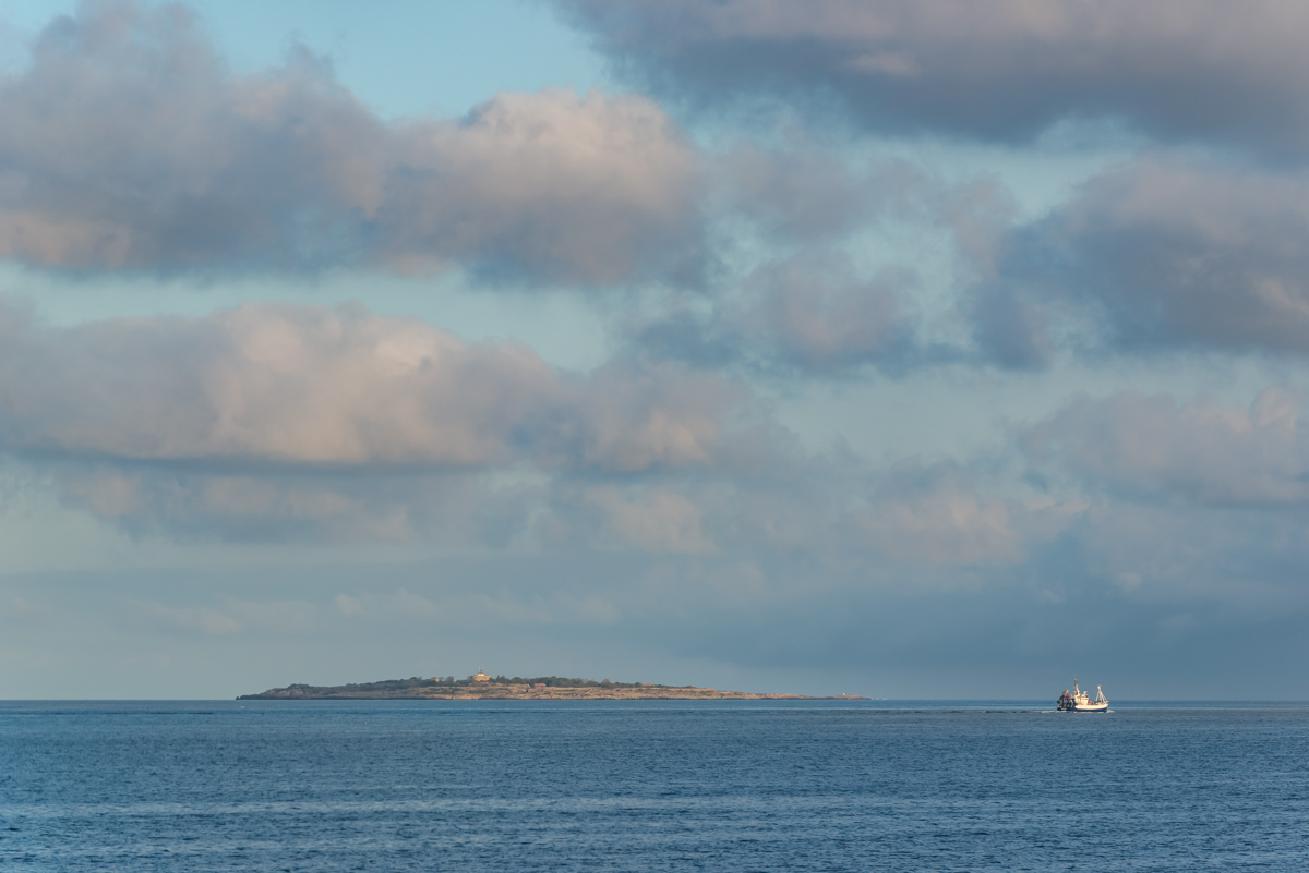 200920 AL545 NF-F-1.jpg