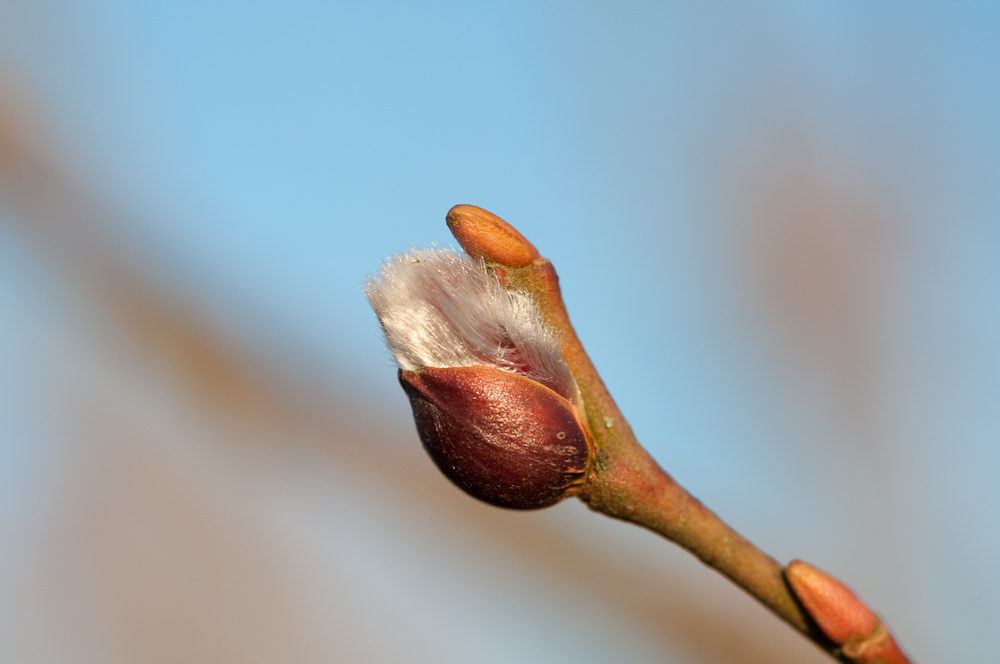 2010 03 09 17 23 04 1