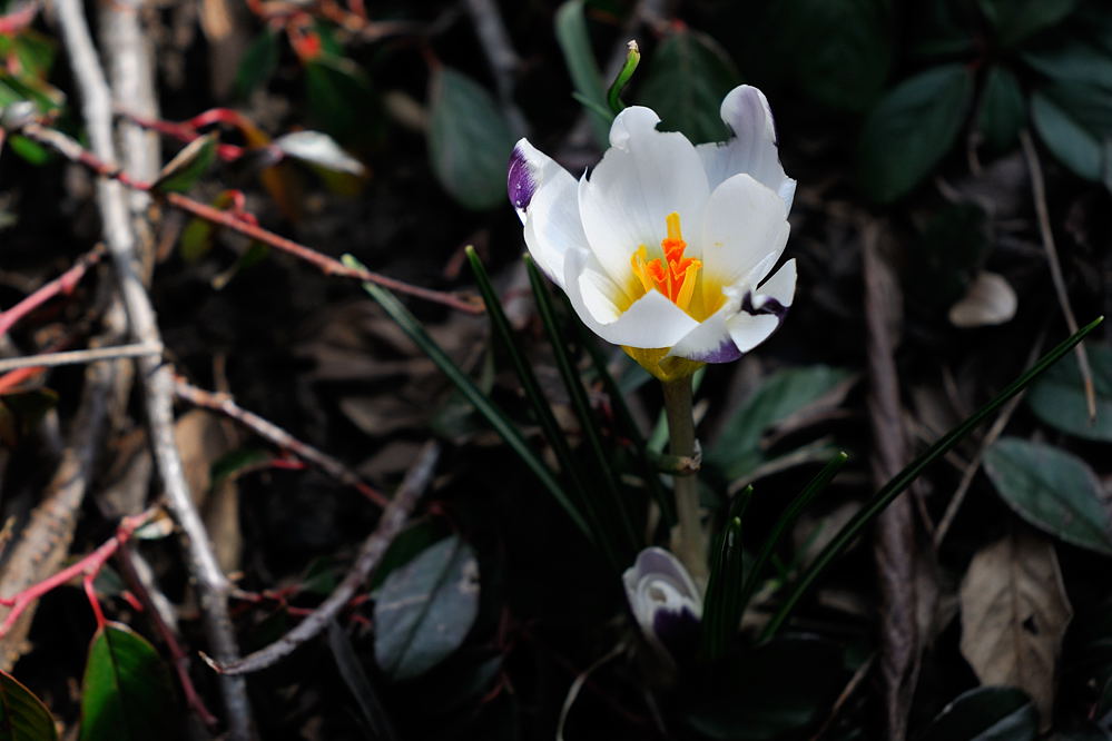 2010 03 17 15 08 14 D30 3221