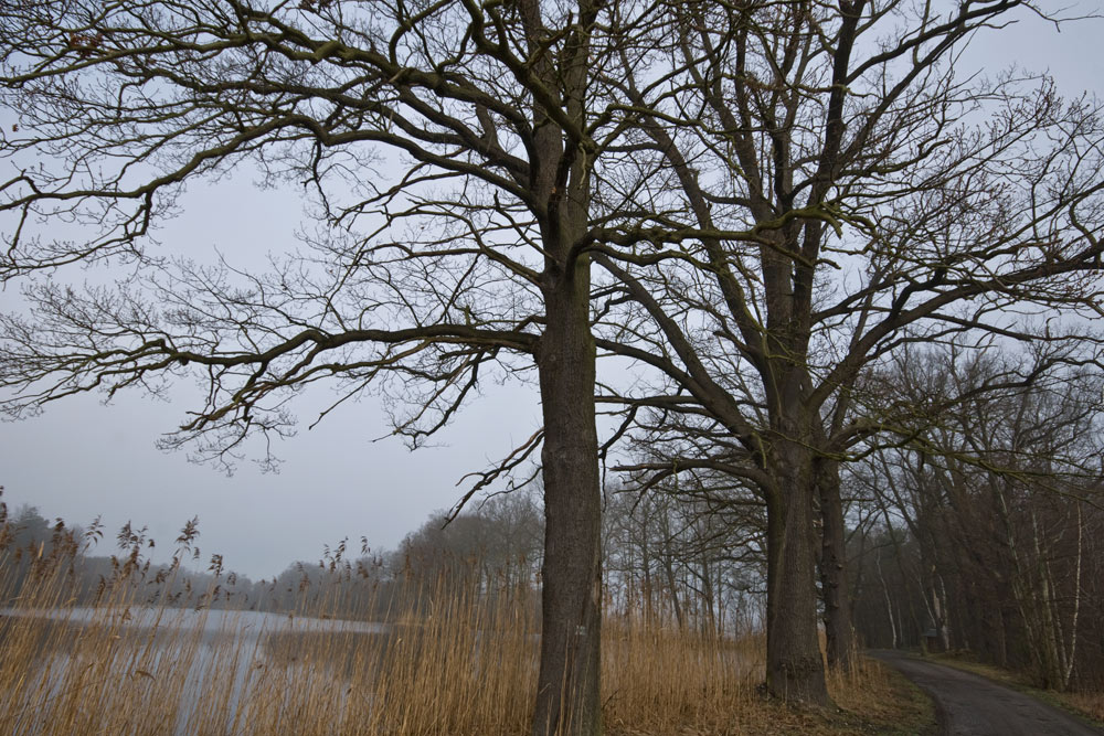 2010-03-30 DSC2412 Teich 1
Sigma 10-20; 13mm; 1/100; f10; ISO 100