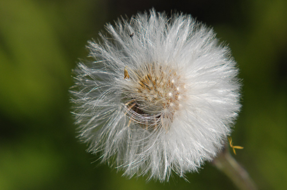 2010 04 23 11 02 23 1