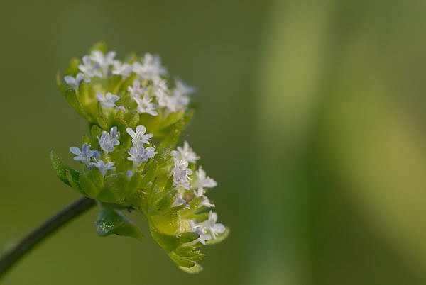2010 05 23 19 19 04