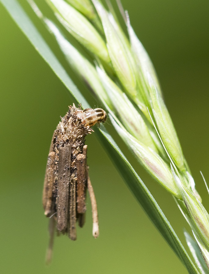 2010 05 23 unbekannt