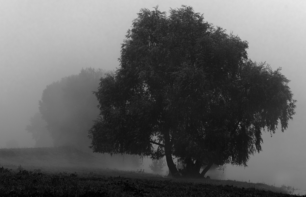 2010 10 11 08 43 34 b