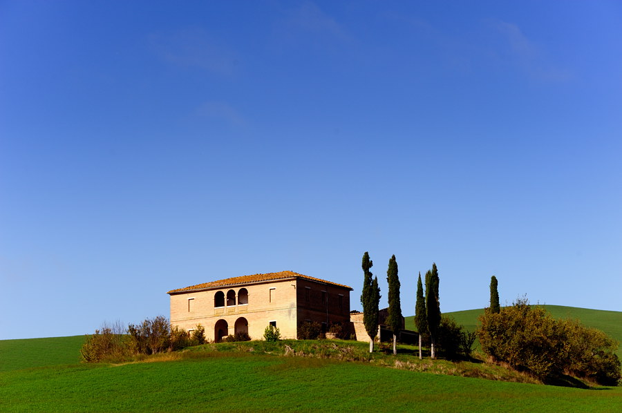 2010 10 #40