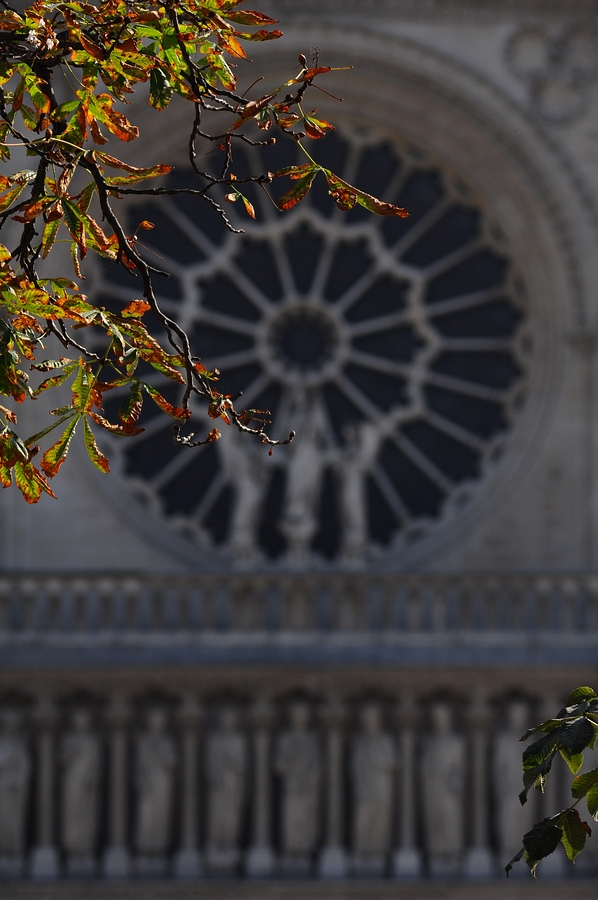 2010-10_Paris_Kirchen_DSD_1318_nff.jpg
