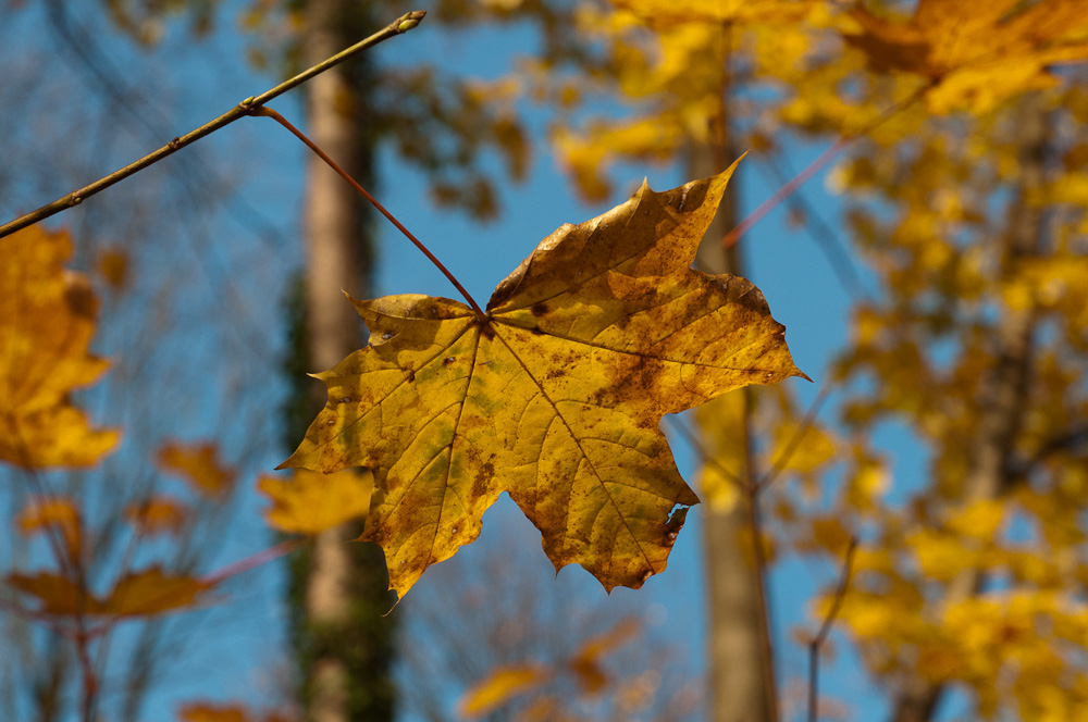 2010 11 07 13 22 47 1