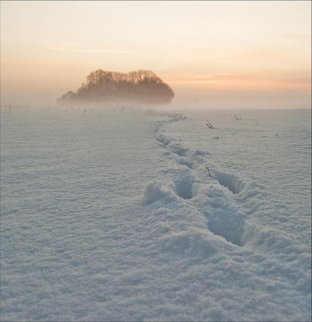 2010 12 18 08 02 50 a