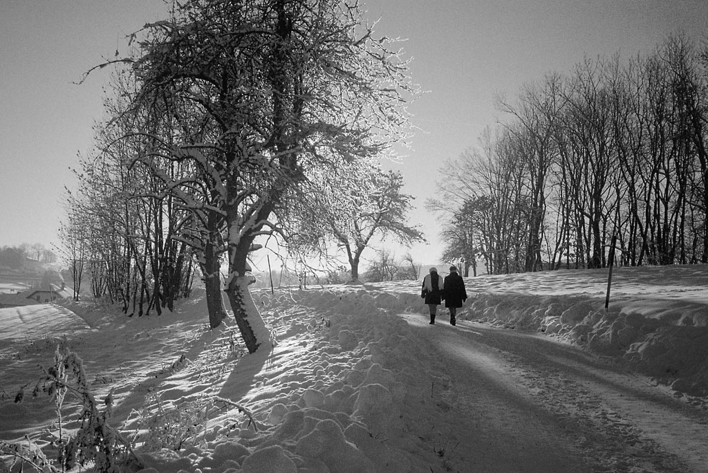 2010000 N15 20sw Winter Gaumberg 1024