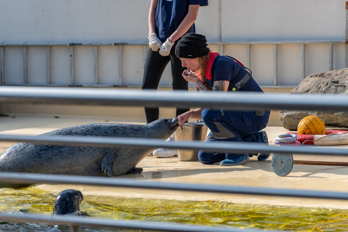 201001 AL545 NF-F-15.jpg