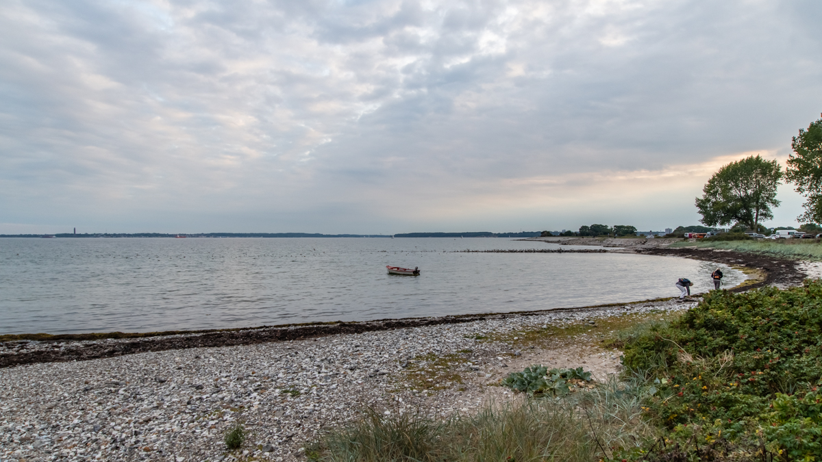 201001 AL545 NF-F-30.jpg