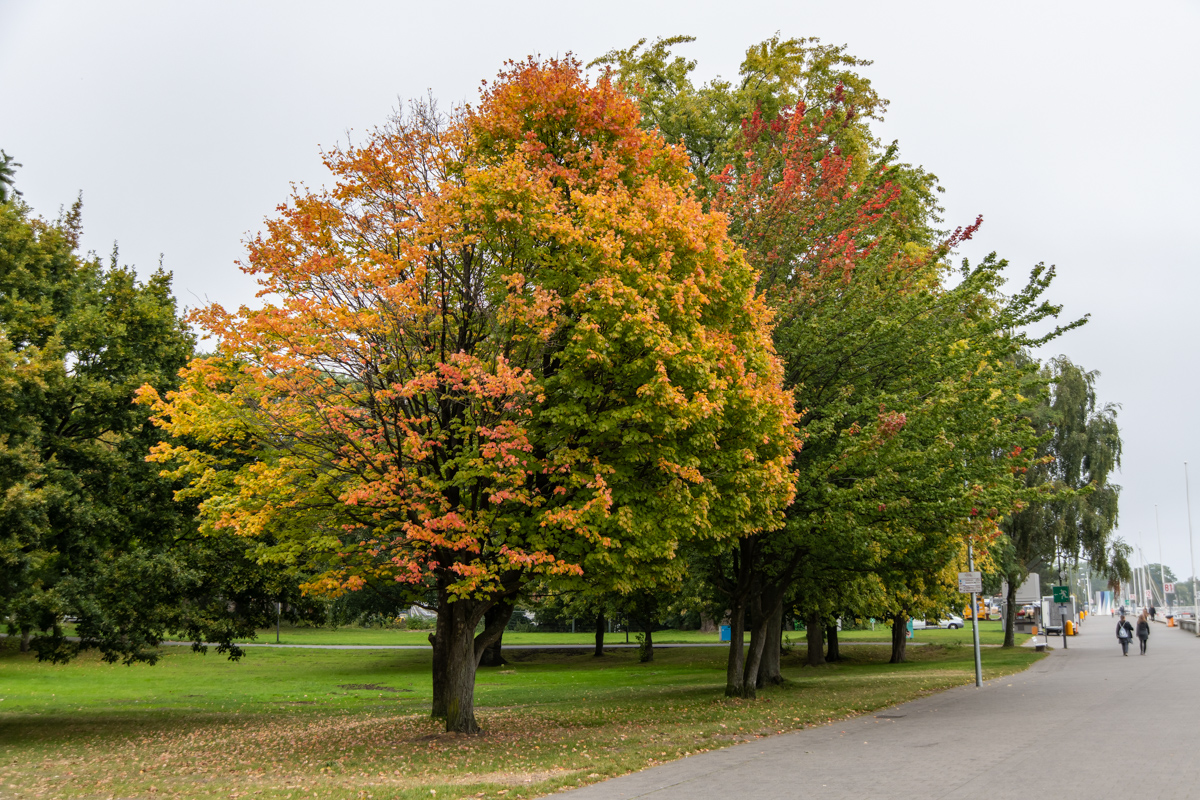 201001 AL545 NF-F-34.jpg