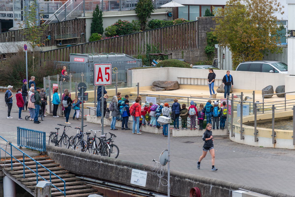 201001 AL545 NF-F-36.jpg