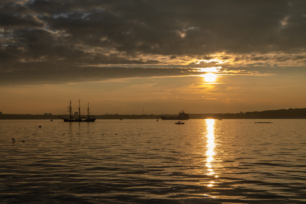 201001 AL545 NF-F-41.jpg