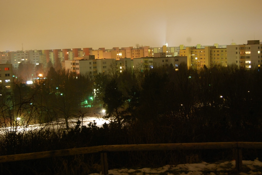 20100119 2323 DSC 2510 small