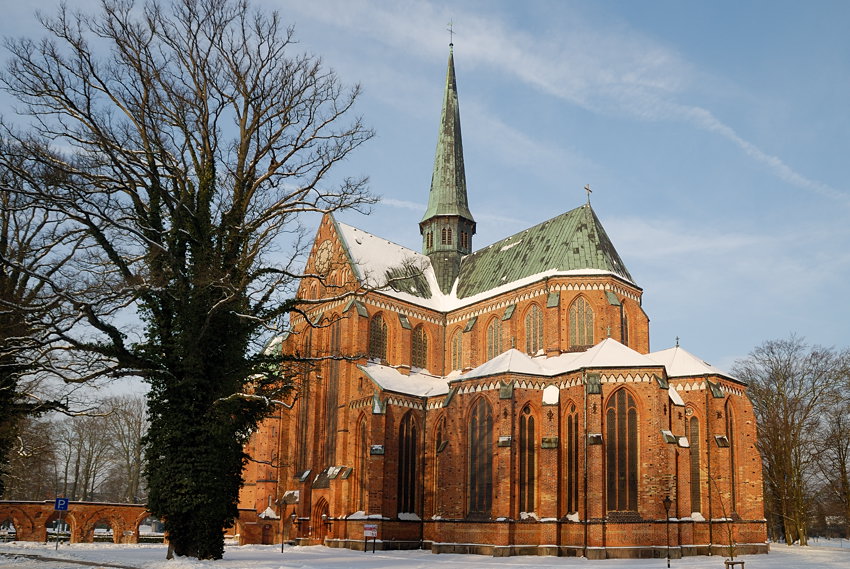 20100123 04 Münster DBR 0