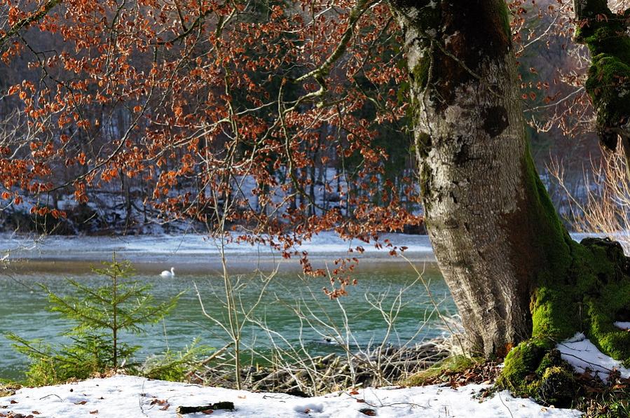 20100204 144933 georgenstein