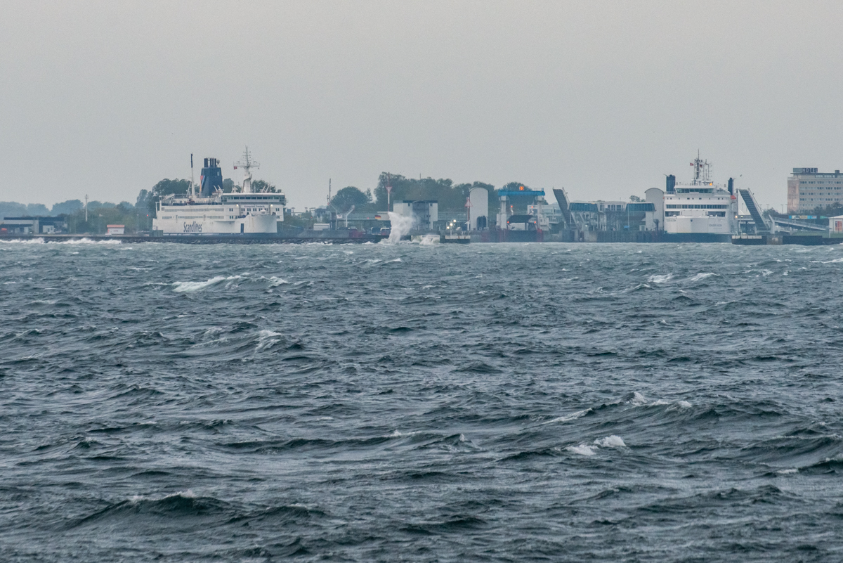 201004 AL546 NF-F-20_2.jpg