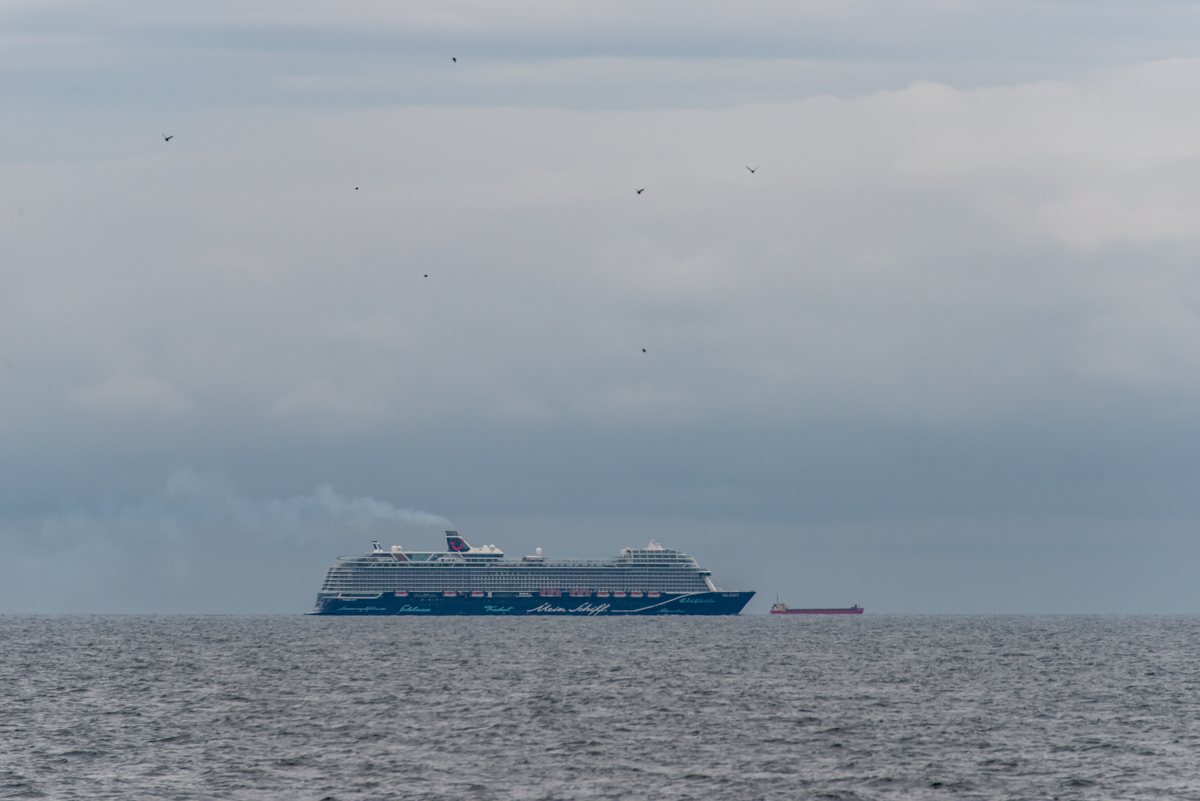 201005 AL546 NF-F-1.jpg
