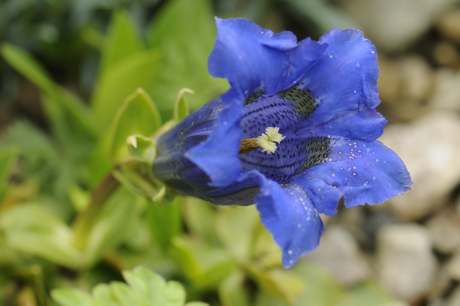 20100516 115339 a