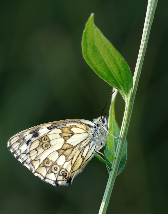 20100627 192259