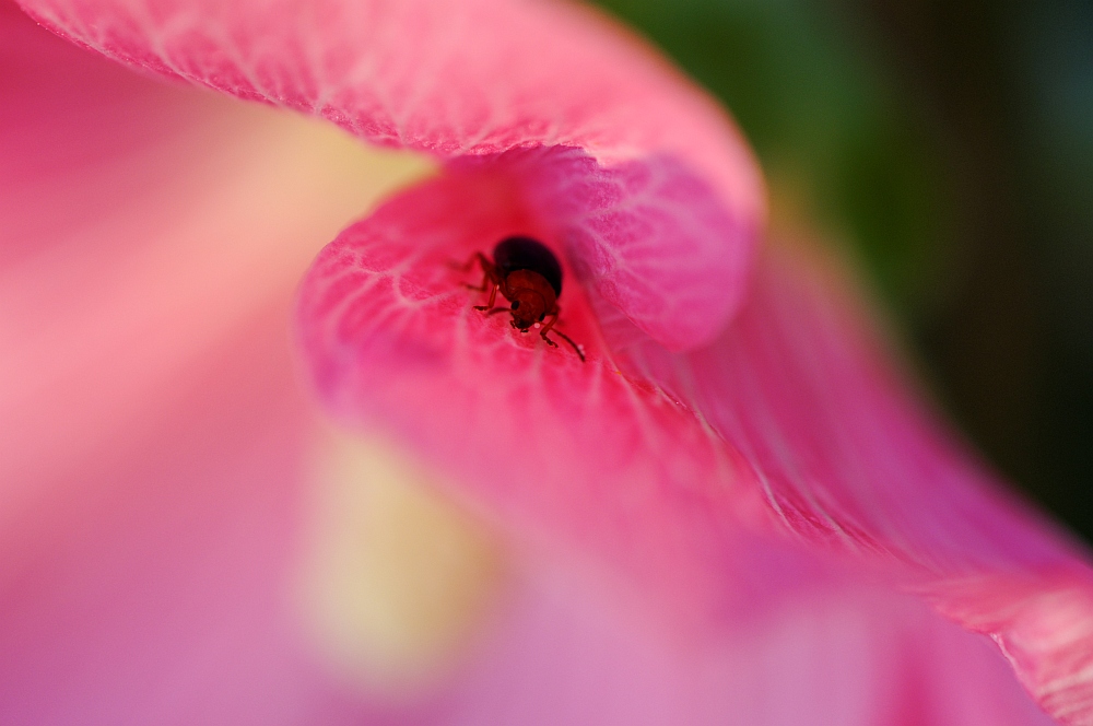 20100713 200557