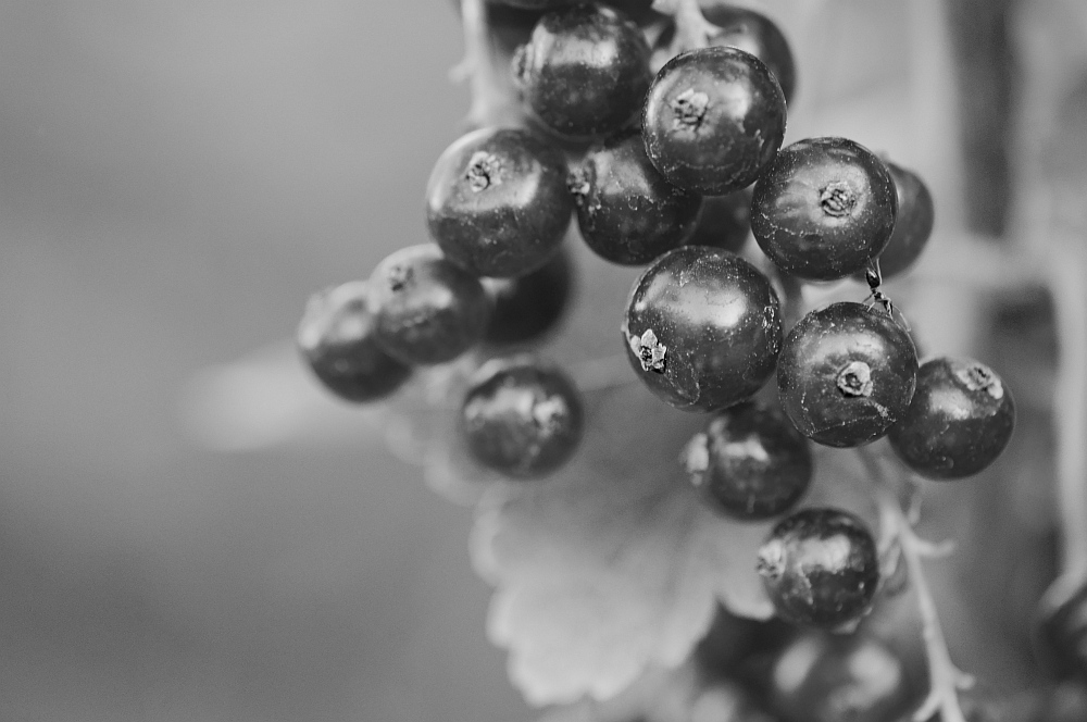 20100713 201936 sw