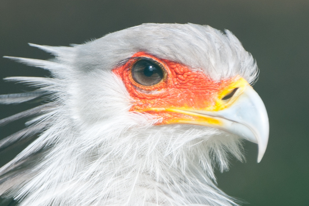 20100717 7511 [NIKON D700],400 mm,1 800 Sek. bei f   4,0