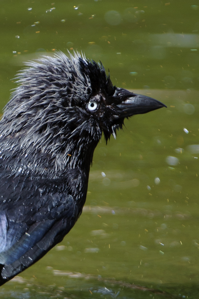 20100717 7572 [NIKON D700],400 mm,1 640 Sek. bei f   4,0