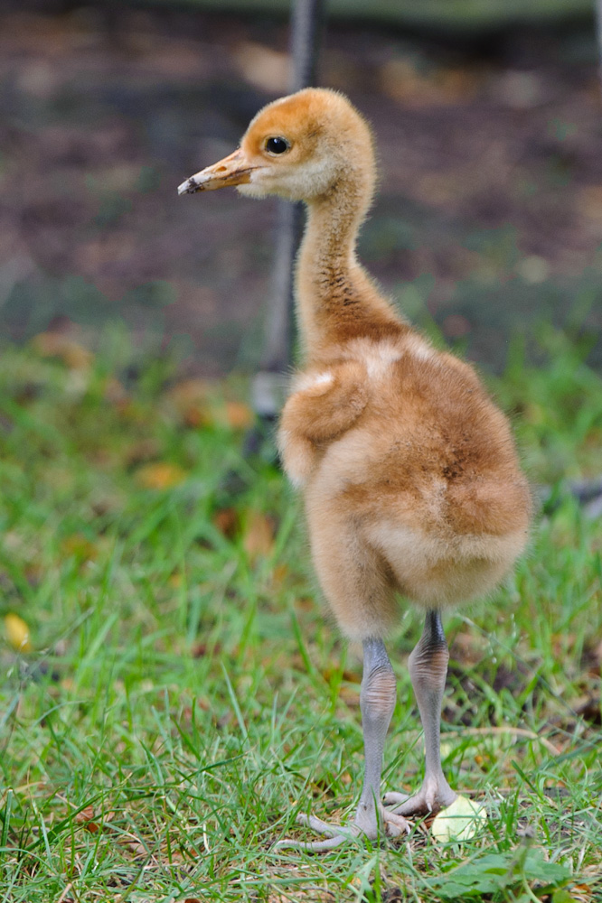 20100717 7652 [NIKON D700],400 mm,1 80 Sek. bei f   5,0