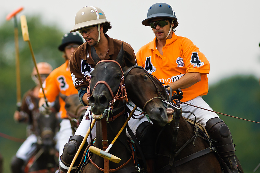 20100801 1397 [NIKON D2Xs],300 mm,1 2500 Sek. bei f   2,8