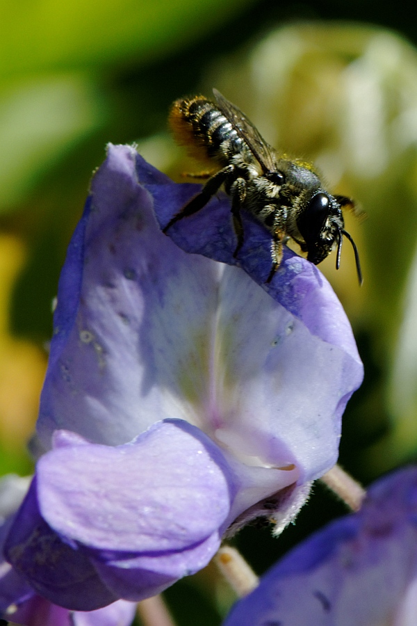 20100817 113224