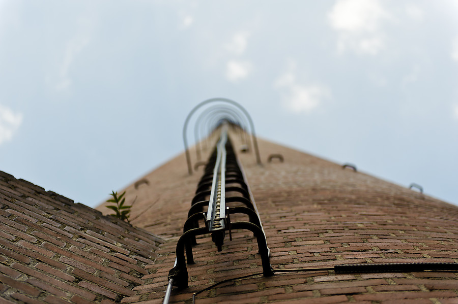 20100821 2 [NIKON D3] 70 mm,1 2500 Sek. bei f   2,8 1