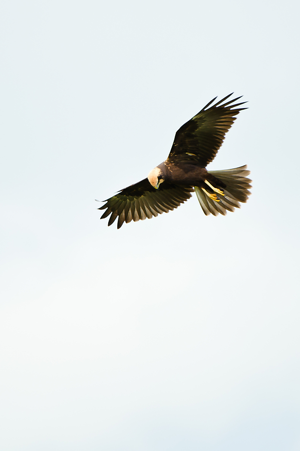 20100829 0841 [NIKON D3] 550 mm,1 400 Sek. bei f   5,6