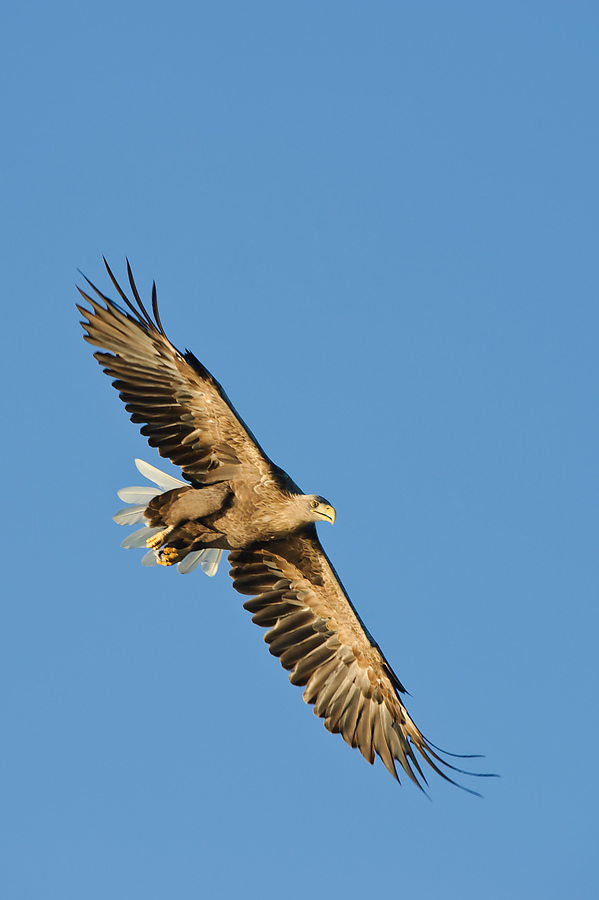 20100831 31542 [NIKON D3] 380 mm,1 640 Sek. bei f   6,3