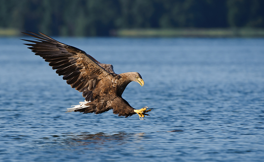 20100831 31665 [NIKON D3] 400 mm,1 800 Sek. bei f   6,3