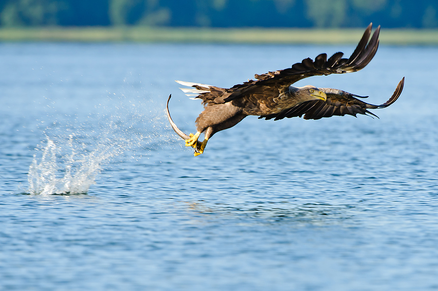 20100831 31666 [NIKON D3] 400 mm,1 1000 Sek. bei f   6,3