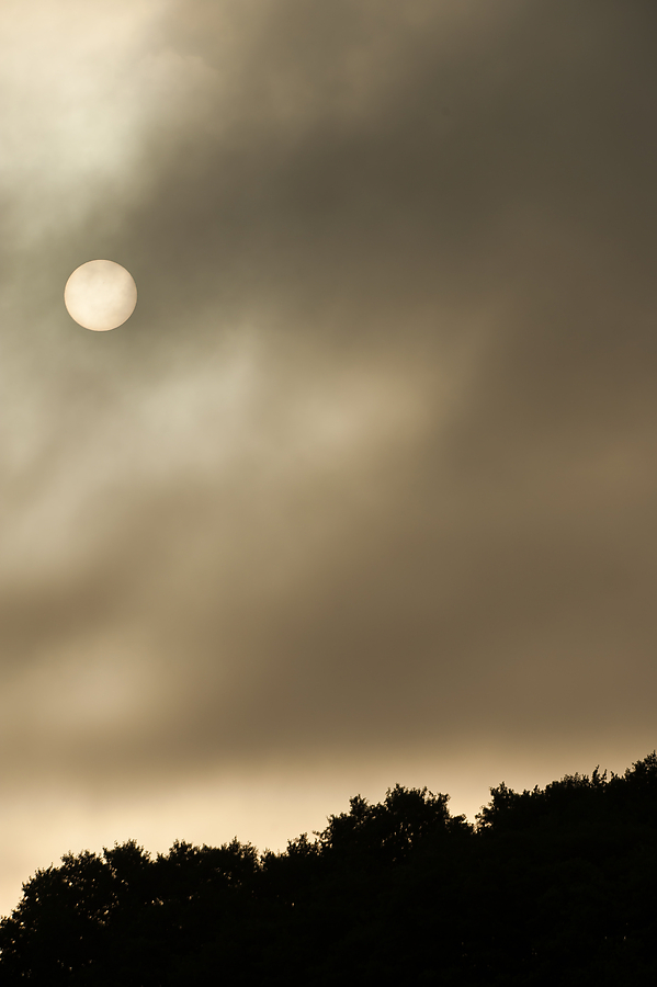 20100901 31773 [NIKON D3] 280 mm,1 1600 Sek. bei f   6,3