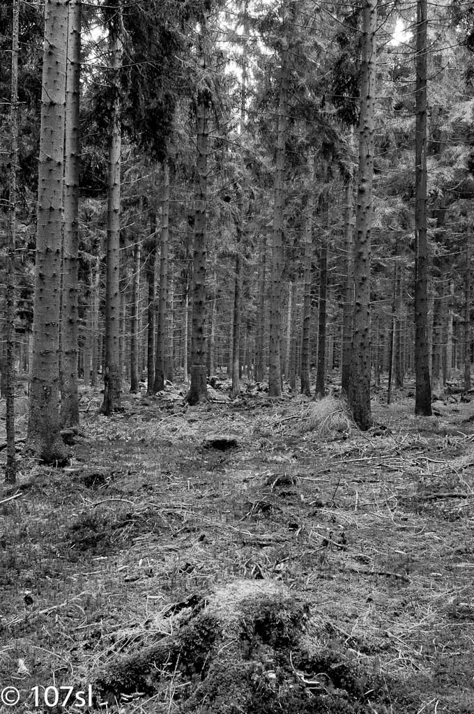 20100910 5046 2 Nikkor 28mm 2.8